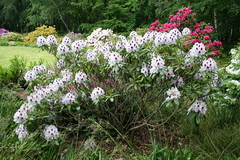 Killikus&reg; Fotographie